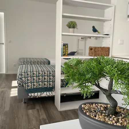 Casa de hóspedes Botica 4*