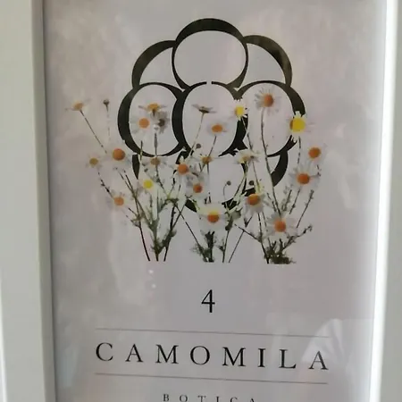 Casa de hóspedes Botica Espinho (Aveiro)