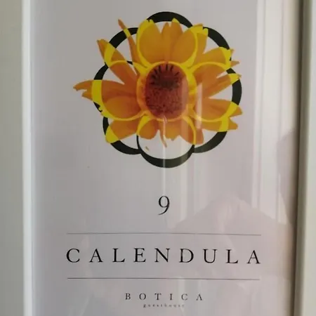 Casa de hóspedes Botica Espinho (Aveiro)