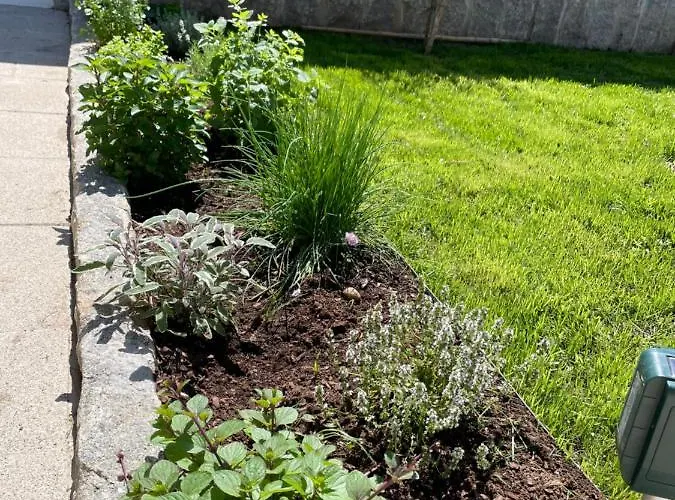 Botica Casa de hóspedes