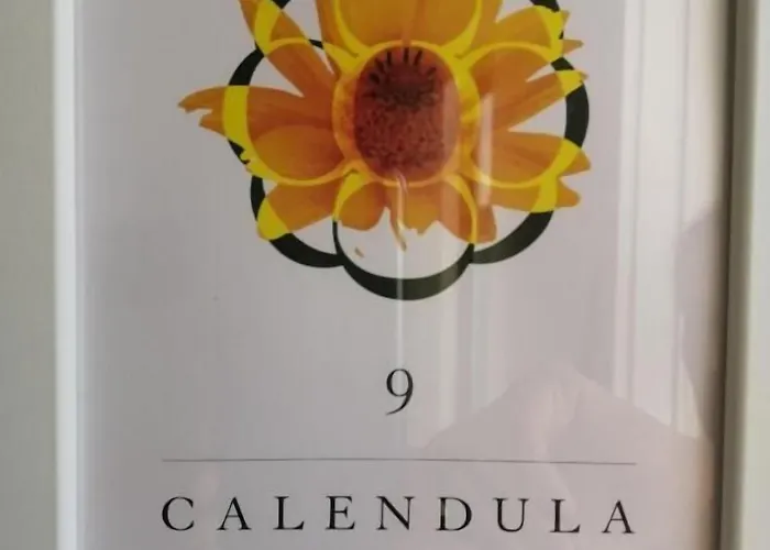 Gasthuis Botica Espinho (Aveiro)